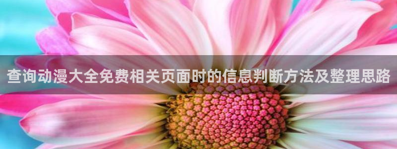 风车动漫在线：查询动漫大全免费相关页面时的信息判断方法及整理思路