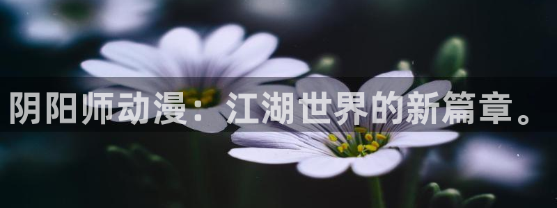 动漫推荐.:阴阳师动漫:江湖世界的新篇章。